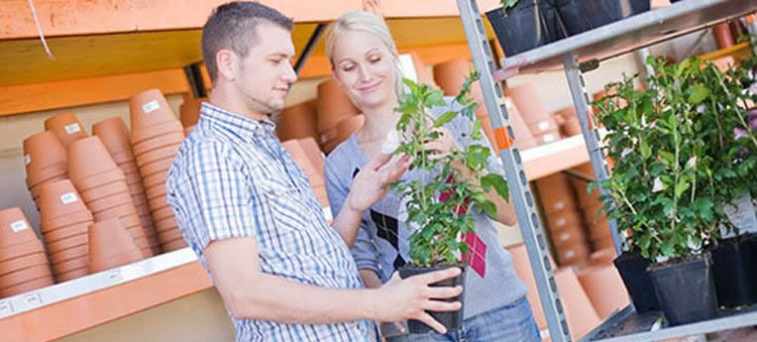 Abteilung Holz im Garten