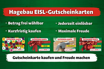 Geschenk - Gutscheine!