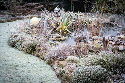 Der Garten im November