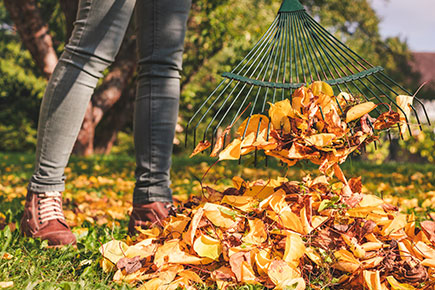 Der Garten im Oktober