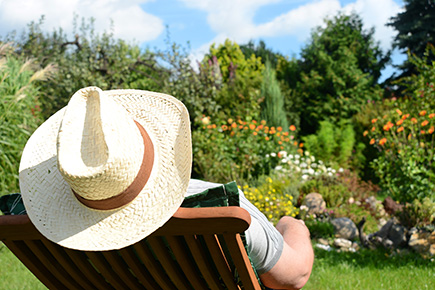 Der Garten im Juli