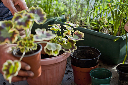 Der Garten im April