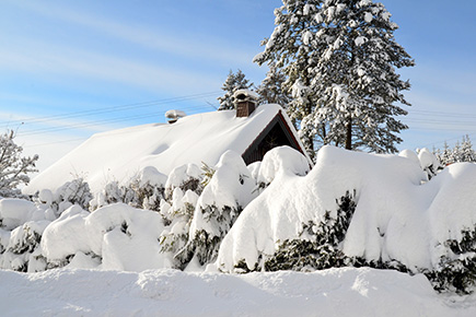 Der Garten im Dezember und Jänner